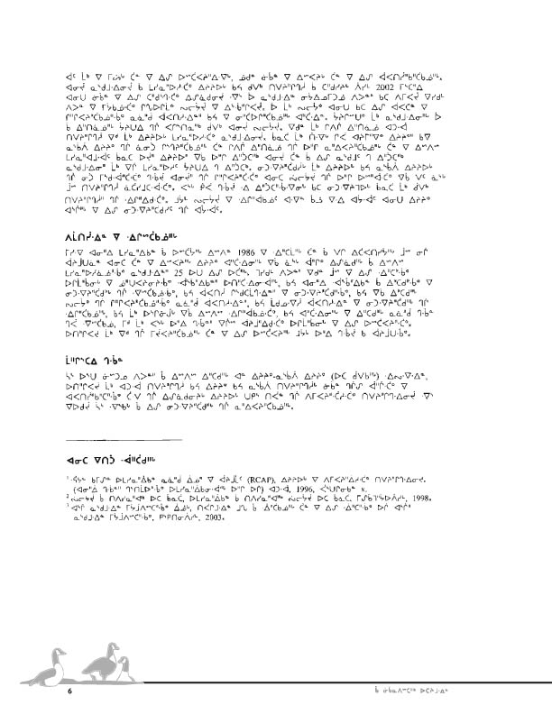 11923 CNC Report 2004_CREE - page 6